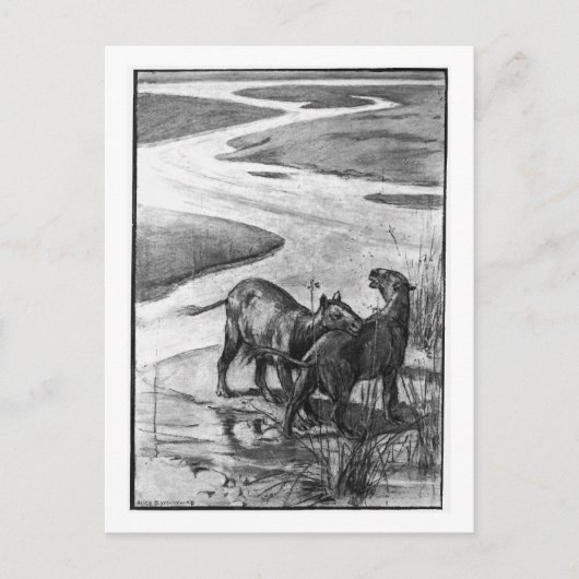 Alice B. Woodward: Postkarte (Vorderseite)