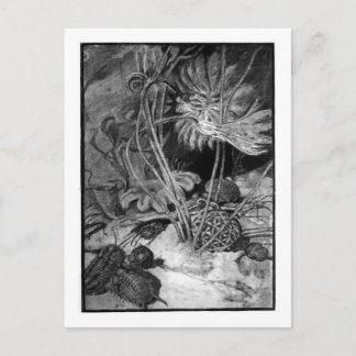 Alice B. Woodward: Postkarte für die Ordovizische