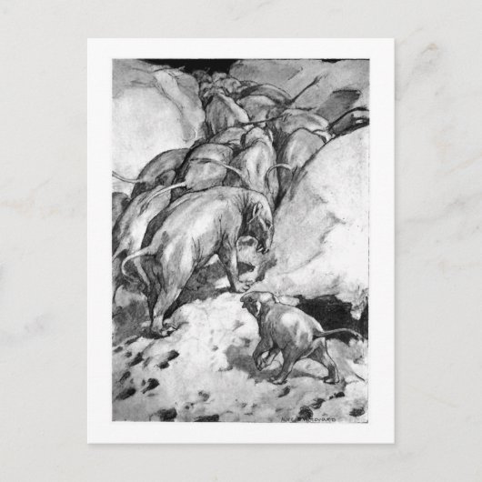 Alice B. Woodward: Postkarte Moeritherium (Vorderseite)