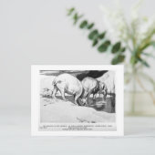 Alice B. Woodward: Postkarte Moeritherium (Stehend Vorderseite)