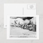 Alice B. Woodward: Postkarte Moeritherium (Vorne/Hinten)