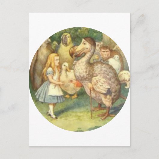 Alice & der Dodo Farbe Postkarte (Vorderseite)