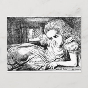 Alice im Weißen Kaninchen-Haus Postkarte