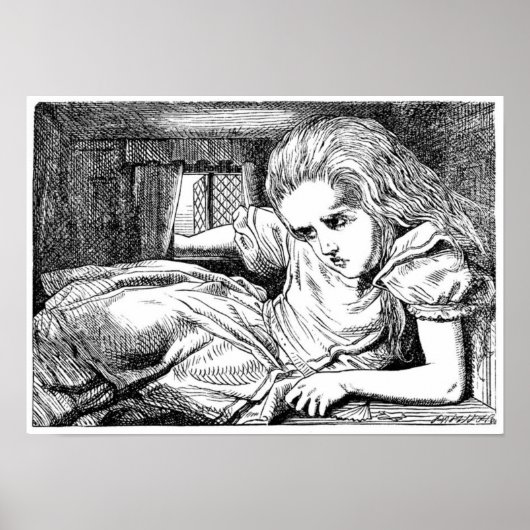 Alice im Weißen Kaninchen Poster (Vorne)