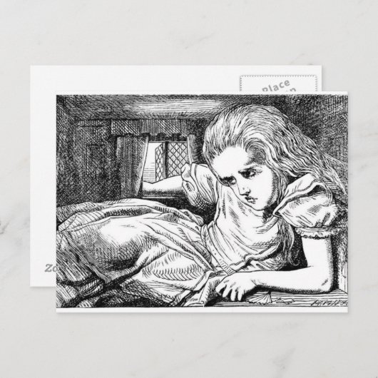Alice im Weißen Kaninchen Postkarte (Vorne/Hinten)