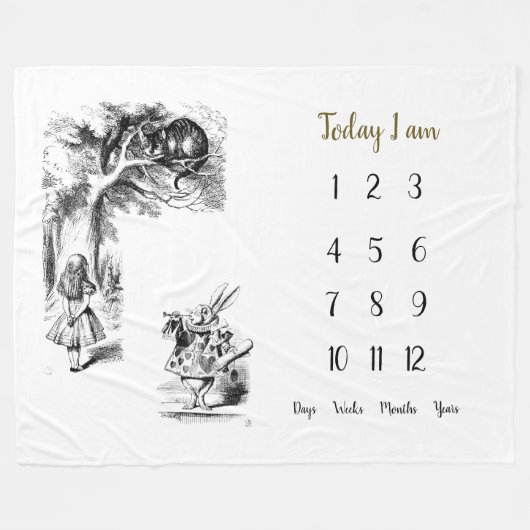 Alice im Wunderland Baby 1 Jahr Meilenstein    Fleecedecke (Vorderseite (Horizontal))