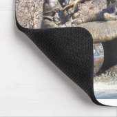 Alice im Wunderland Central Park Mousepad (Ecke)