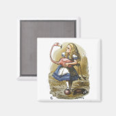 Alice im Wunderland Flamingo Magnet (Vorderseite/Rückseite)