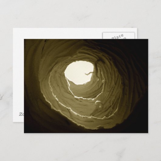 Alice im Wunderland-Kaninchen-Loch-Postkarte Postkarte (Vorne/Hinten)