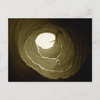 Alice im Wunderland-Kaninchen-Loch-Postkarte Postkarte