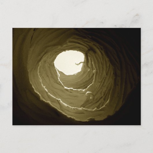 Alice im Wunderland-Kaninchen-Loch-Postkarte Postkarte (Vorderseite)