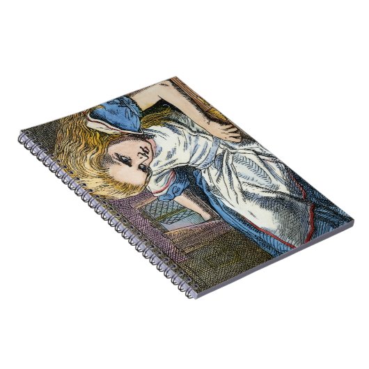 ALICE IM WUNDERLAND NOTIZBLOCK (Rechte Seite)