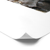 Alice im Wunderland Poster (Ecke)