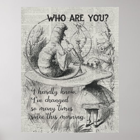 Alice im Wunderland Poster (Vorne)