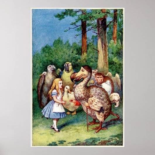 Alice im Wunderland Poster (Vorne)