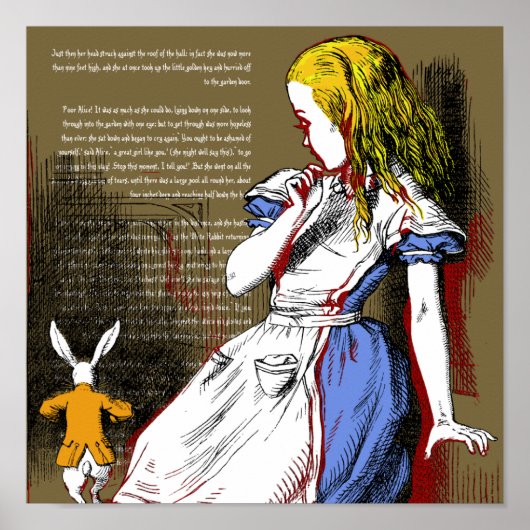 Alice im Wunderland Poster (Vorne)