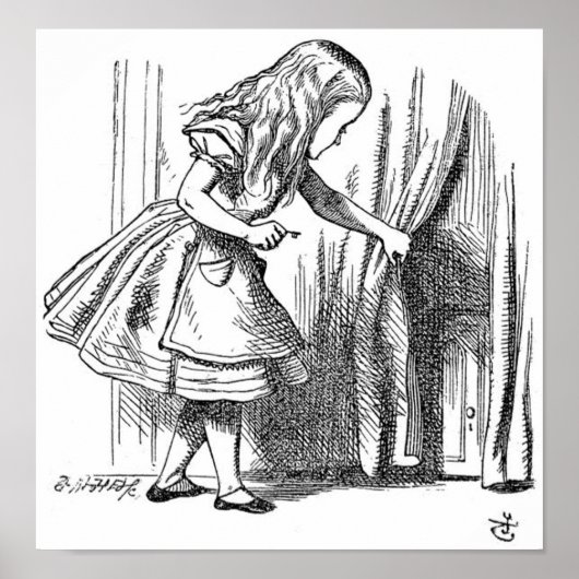 Alice im Wunderland Poster (Vorne)
