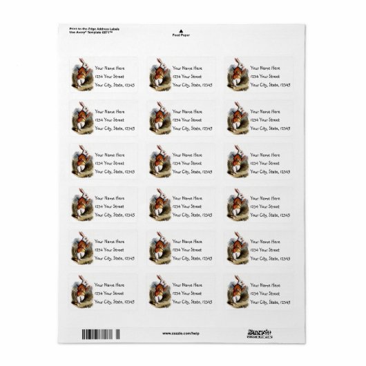 Alice im Wunderland White Rabbit Address Labels Adressaufkleber (Vorne)