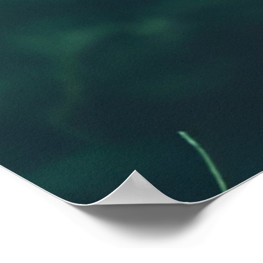 Alice in der Forest Fashion Abgelaufen Film Mode Poster (Ecke)