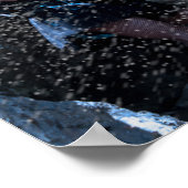 Alice in einem Schneesturm Poster (Ecke)