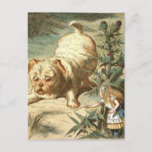 Alice Postkarte (Vorderseite)