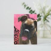 Alice the Boxer Pup von Jen Geraghty Postkarte (Stehend Vorderseite)