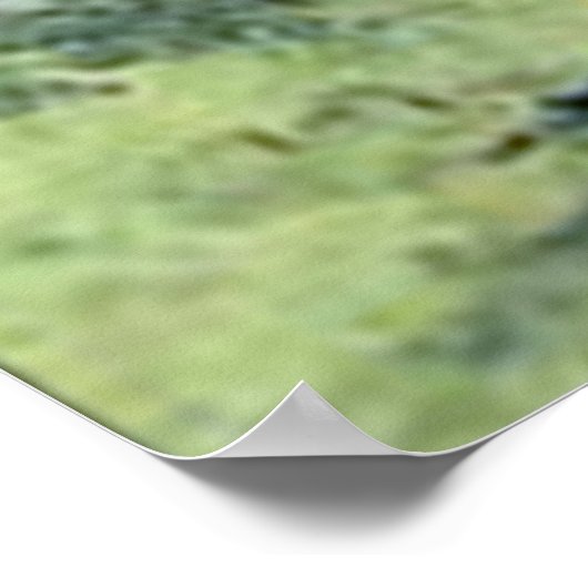 Alice & The Red Queen Poster (Ecke)