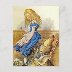 Alice tippt die Jury-Box im Knave of Hearts-Prozes Postkarte