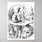 Alice trifft das Raupe Poster (Vorne)