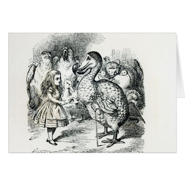 Alice trifft den Dodo (Vorderseite (Horizontal))
