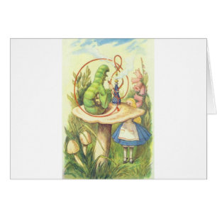 Alice trifft die Raupe