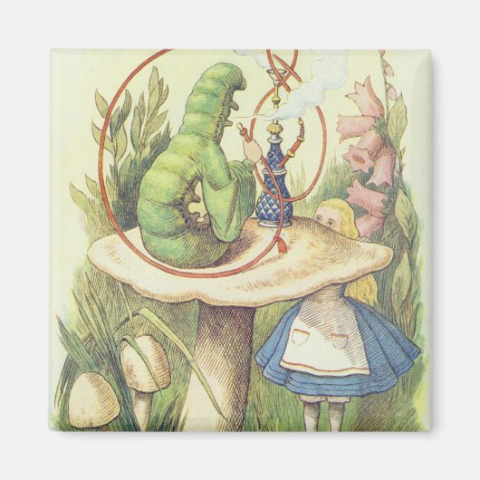 Alice trifft die Raupe Magnet (Vorne)