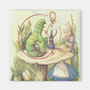 Alice trifft die Raupe Magnet