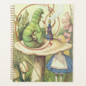 Alice trifft die Raupe Planer (Vorderseite)