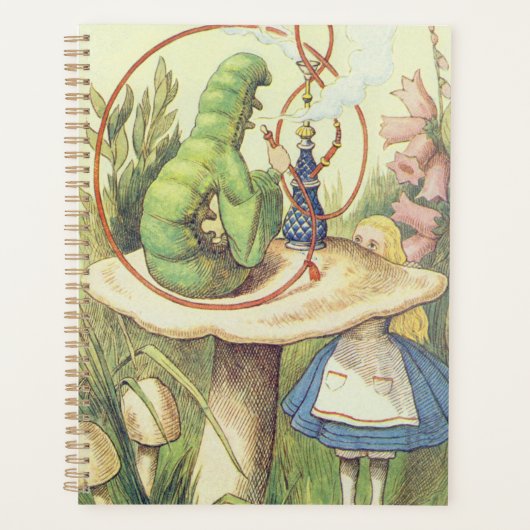 Alice trifft die Raupe Planer (Vorderseite)