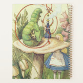 Alice trifft die Raupe Planer (Rückseite)