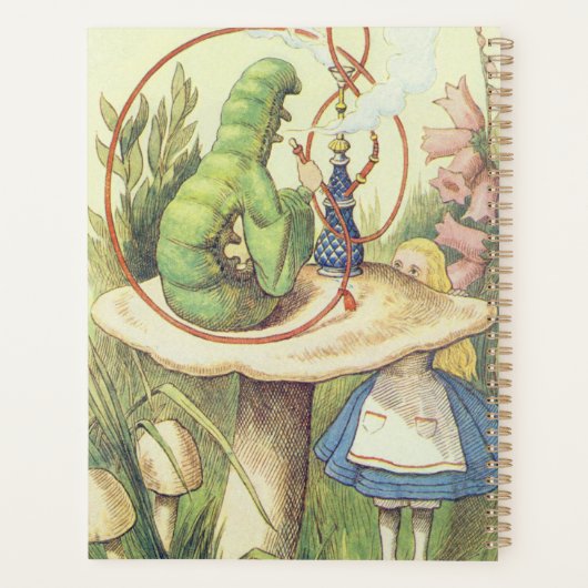 Alice trifft die Raupe Planer (Rückseite)