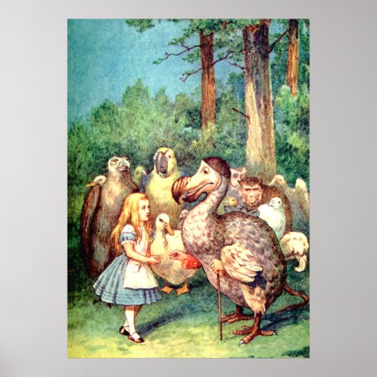 Alice und der Dodo Bird im Wunderland Poster (Vorne)