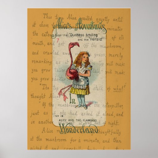 Alice und der Flamingo Poster (Vorne)