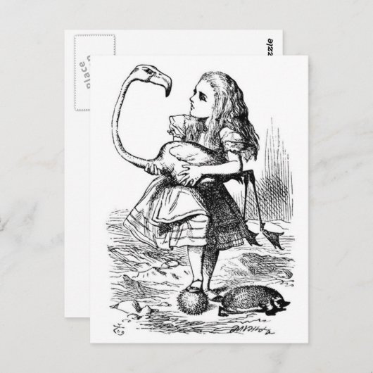 Alice und der Flamingo Postkarte (Vorne/Hinten)