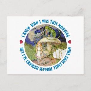 Alice und die Raupe im Wunderland Postkarte