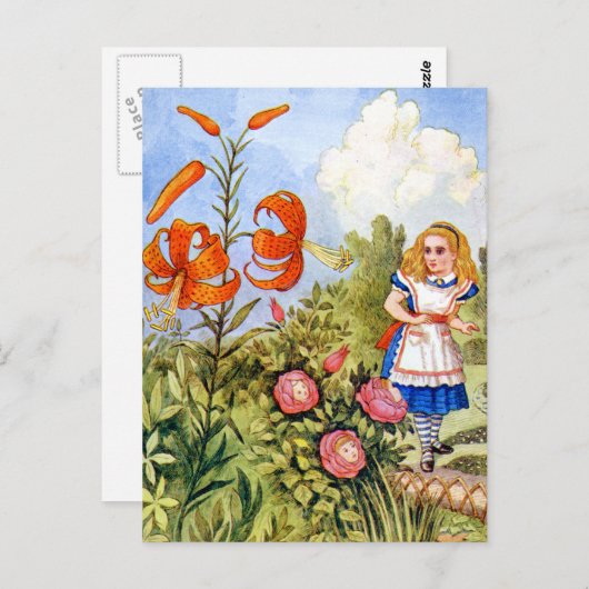 Alice und die Talking-Blume in Wonderland Postkarte (Vorne/Hinten)