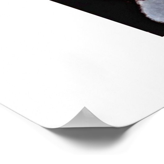 Alice von Amedeo Modigliani Poster (Ecke)