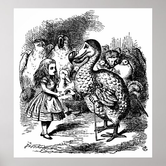 Alice's Adventures in Wonderland Illustration Poster (Vorne)