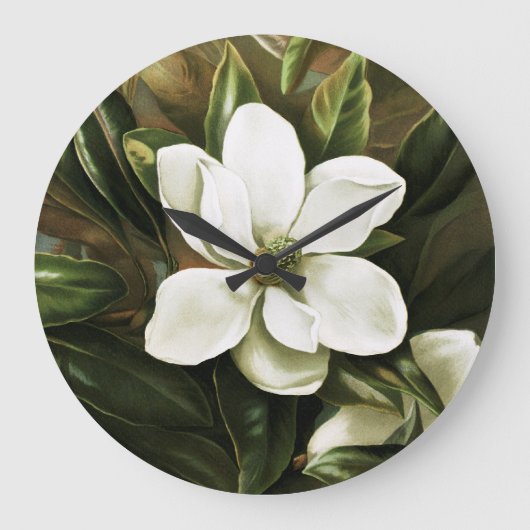 Alicia H. Laird: Magnolia Grandflora Große Wanduhr (Vorderseite)