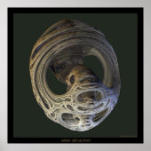 Alien-Attraktivität Poster (Vorne)