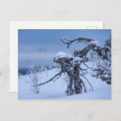 Alien aus gefrorenem Holz Postkarte (Vorne/Hinten)