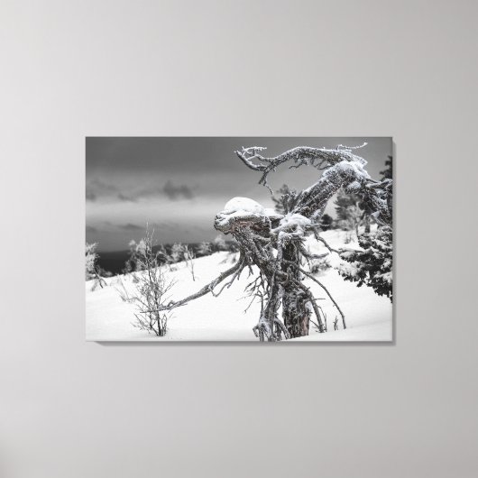 Alien aus Holz im Winter Leinwanddruck (Vorderseite)