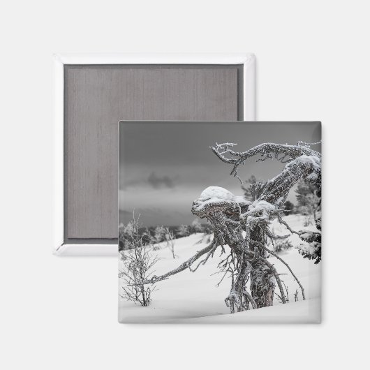 Alien-Baummagnet Magnet (Vorderseite/Rückseite)