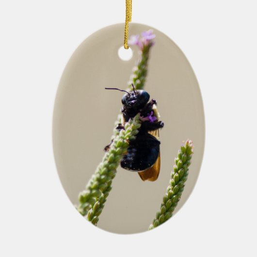 Alien Circus Bee Keramik Ornament (Vorne)